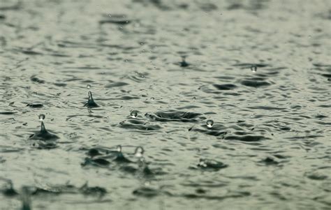 下雨 圖|70000 多张免费的“下雨”和“雨”照片